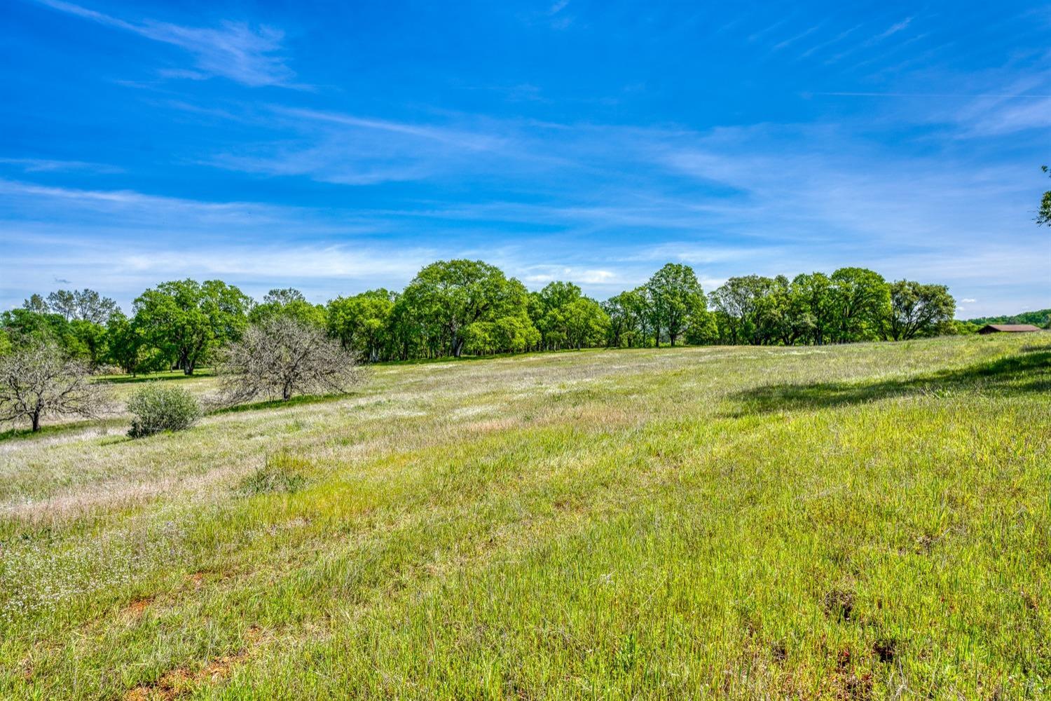 4915 Salmon Falls Road Pilot Hill, CA 95664 - Photo 2 of 12 a view of a field with an ocean view