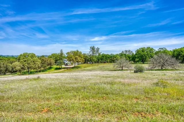 a view of a field with an ocean