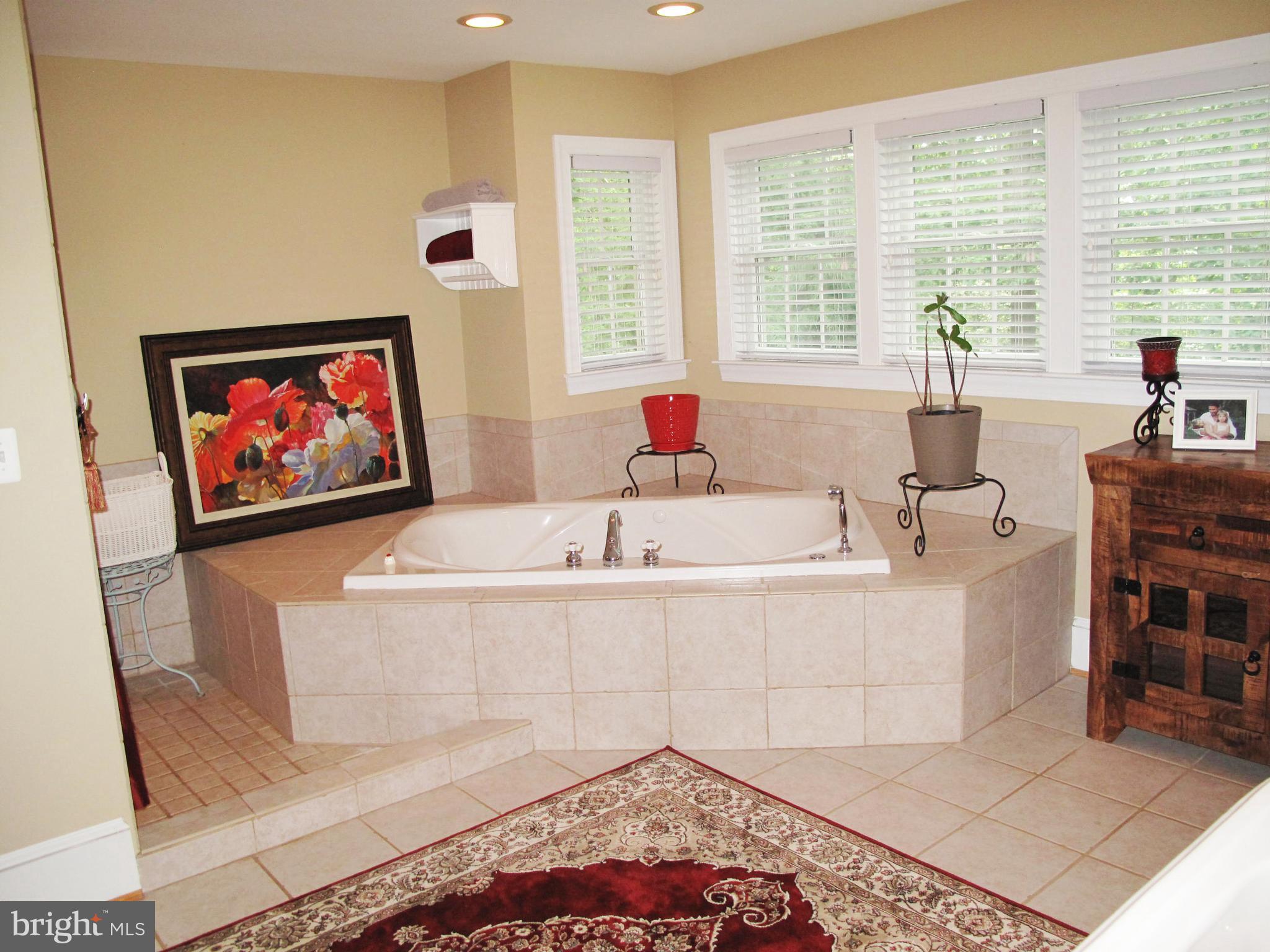 3137 Green Road White Hall, MD 21161 - Photo 20 of 29 Bath (Master)