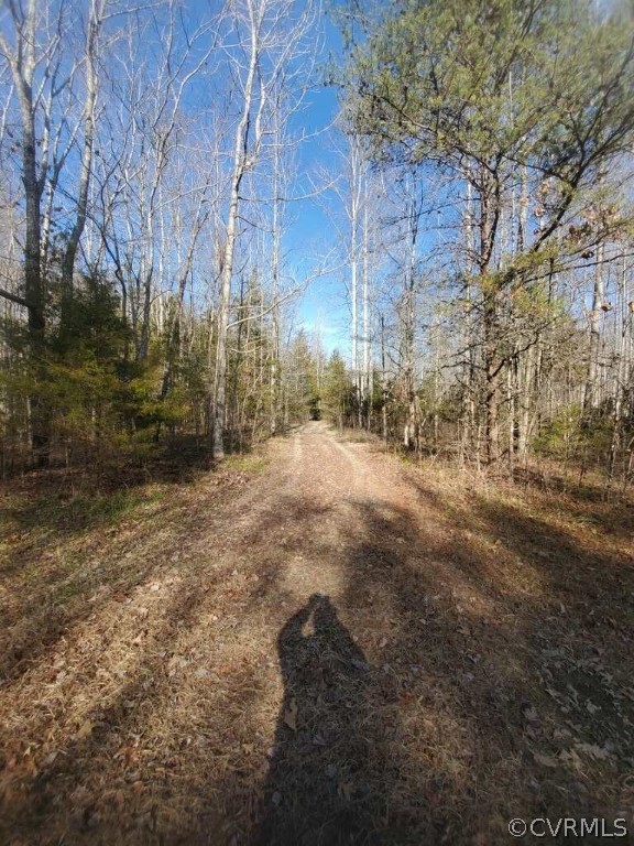 4 Ranch Lane Cumberland, VA 23040 - Photo 3 of 11 Gallery Image 3