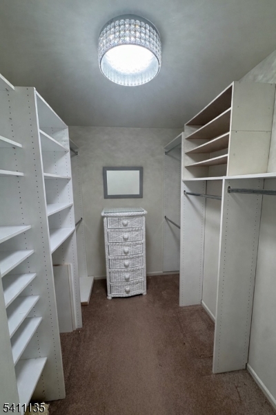 50 West Lindsley Road, Unit 42 Cedar Grove, NJ 07009 - Photo 10 of 26 a view of walk in closet with clothes and shoes