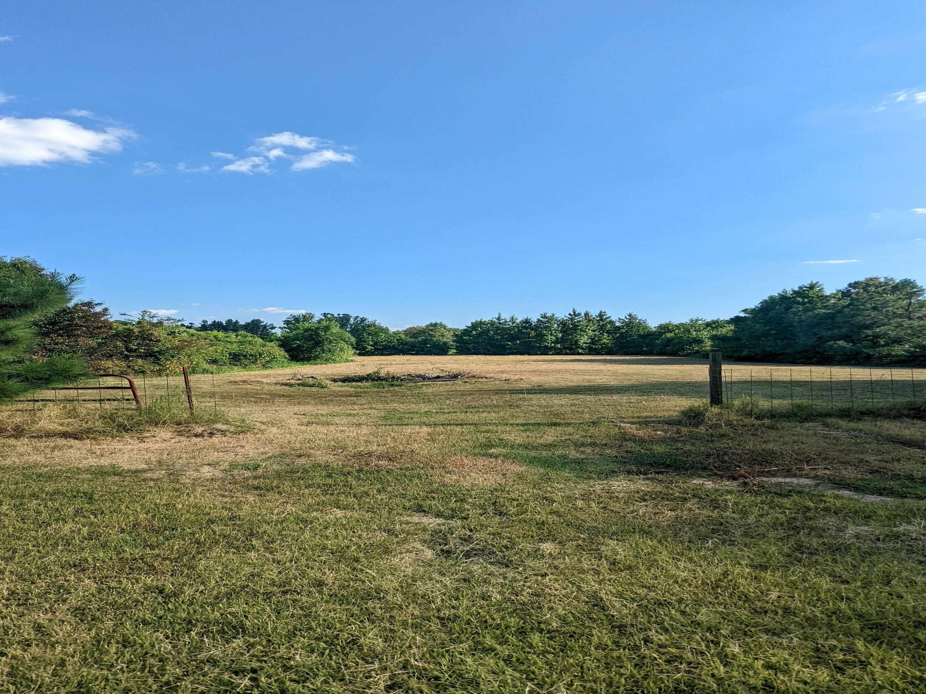 793 Robertson Road Mason, TN 38049 - Photo 20 of 23 a view of a lake with houses in the back
