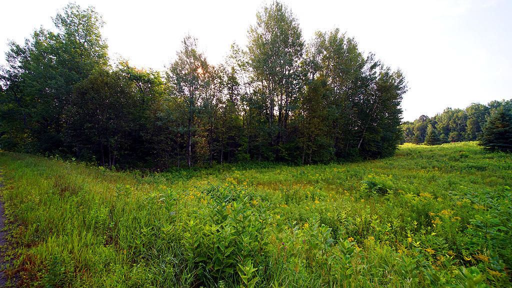 Lot 9-1 New Limerick Road Houlton, ME 04730 - Photo 17 of 40 leisner-maine-land-1