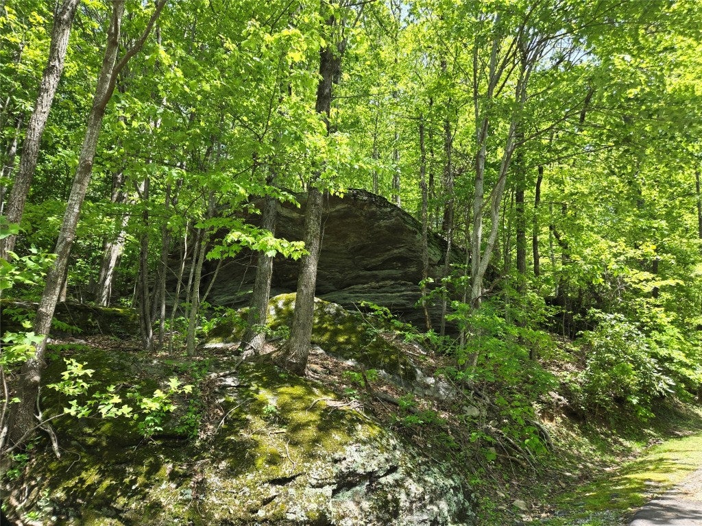 Lot 25 Panther Ridge Road Lake Toxaway, NC 28747 - Photo 2 of 3 Beautiful boulder formation