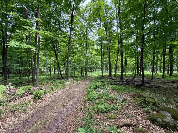 $950,000 | N7794 Kolpack Lane, Bowler, WI 54416
