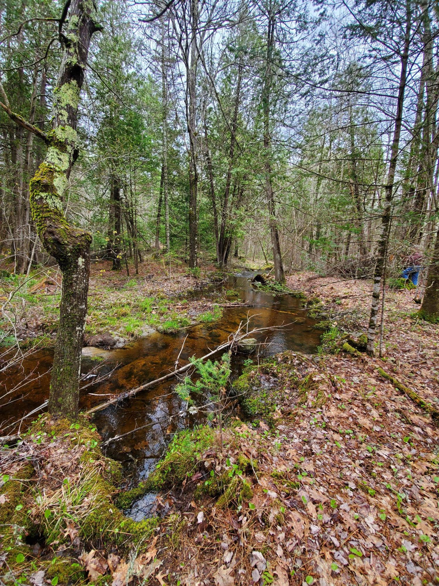 37 Haley Road Winterport, ME 04496 - Photo 14 of 17 20200516_132644