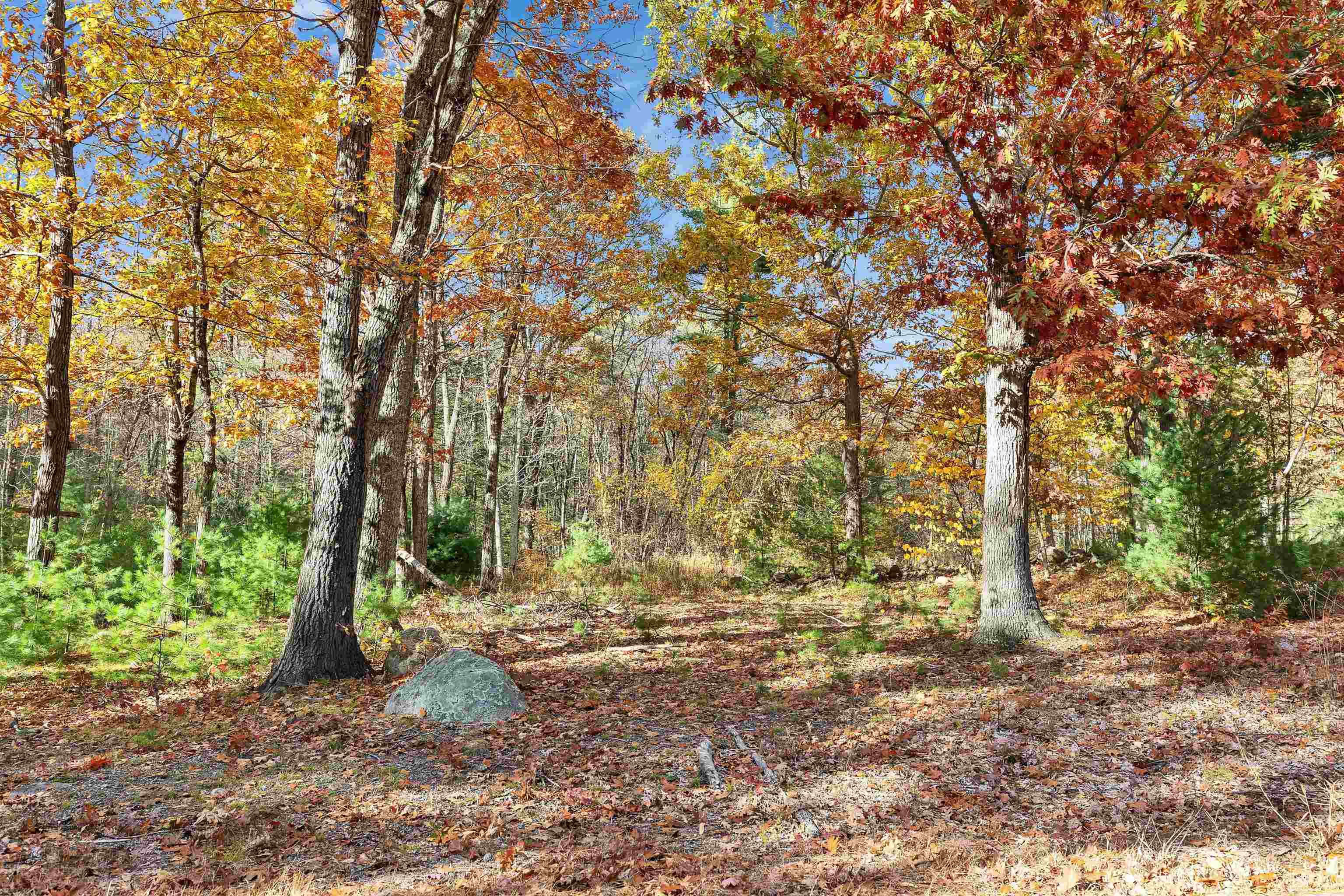 Lot 14 Winterberry Road Brookline, NH 03033 - Photo 3 of 15 Gallery Image 3