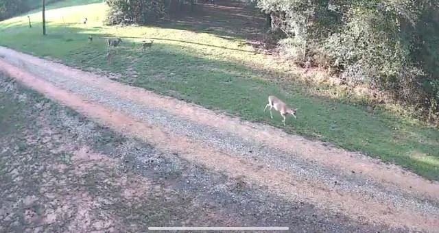 $399,000 | 20259 Sylvest Road, Franklinton, LA 70438