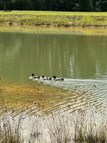 $399,000 | 20259 Sylvest Road, Franklinton, LA 70438