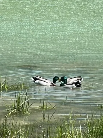 $399,000 | 20259 Sylvest Road, Franklinton, LA 70438