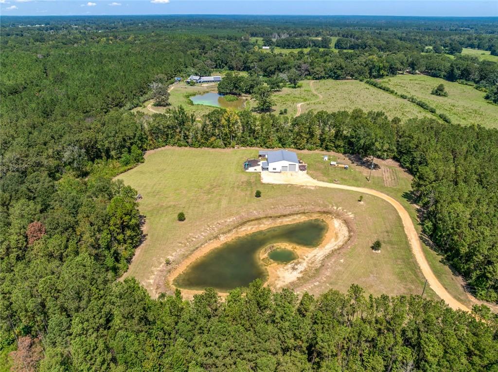 20259 Sylvest Road Franklinton, LA 70438 - Photo 4 of 33