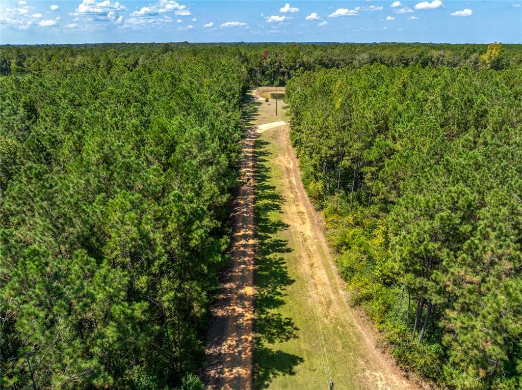 20259 Sylvest Road Franklinton, LA 70438 - Photo 8 of 33