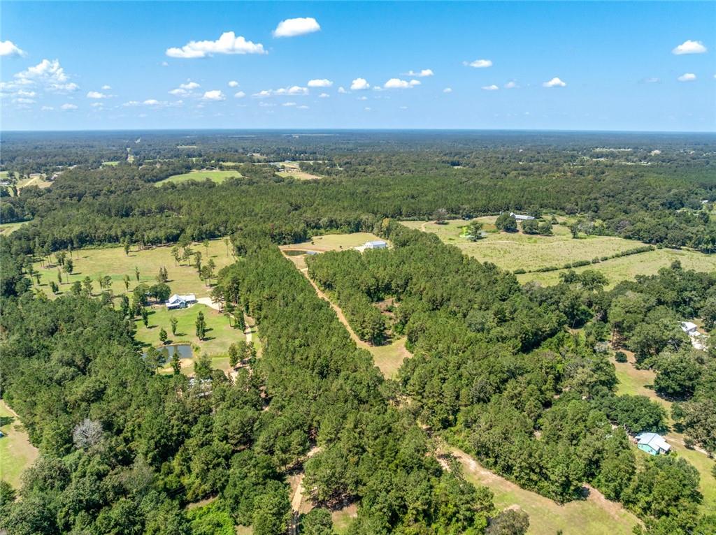 20259 Sylvest Road Franklinton, LA 70438 - Photo 9 of 33