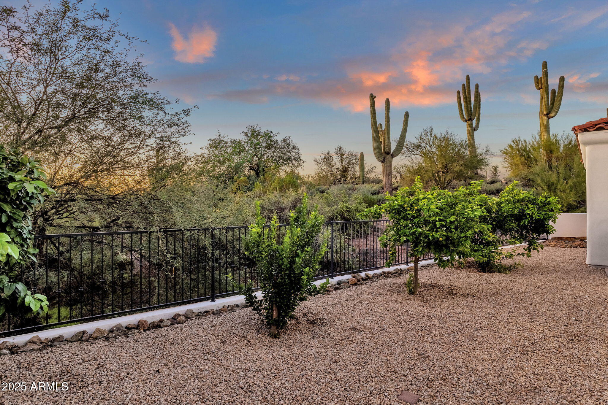 6832 East Stevens Road Cave Creek, AZ 85331 - Photo 47 of 56 Backyard