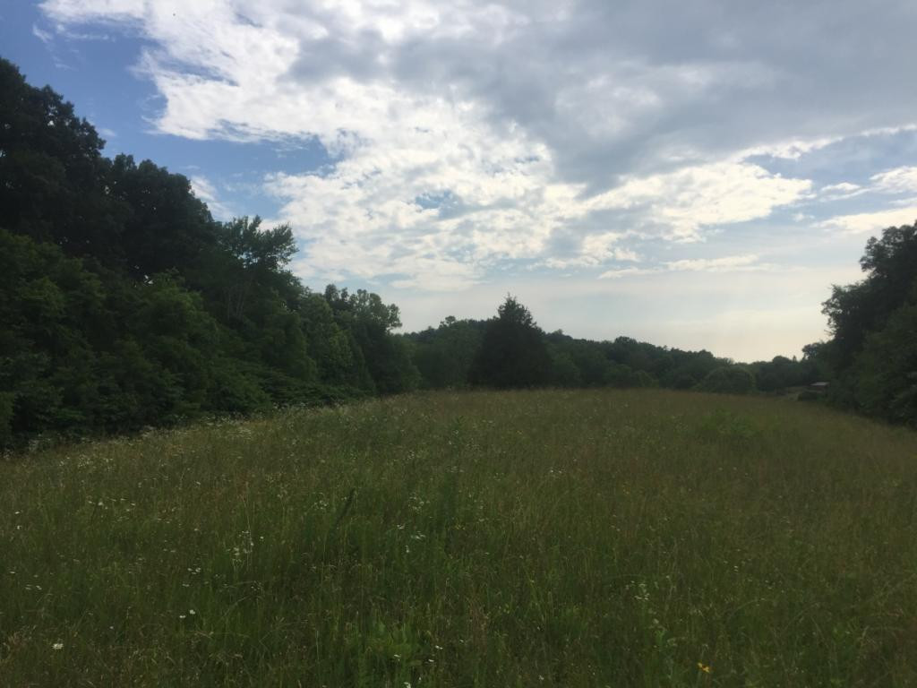 0 Rader Sidetrack Road Mosheim, TN 37818 - Photo 14 of 15 Photo 14