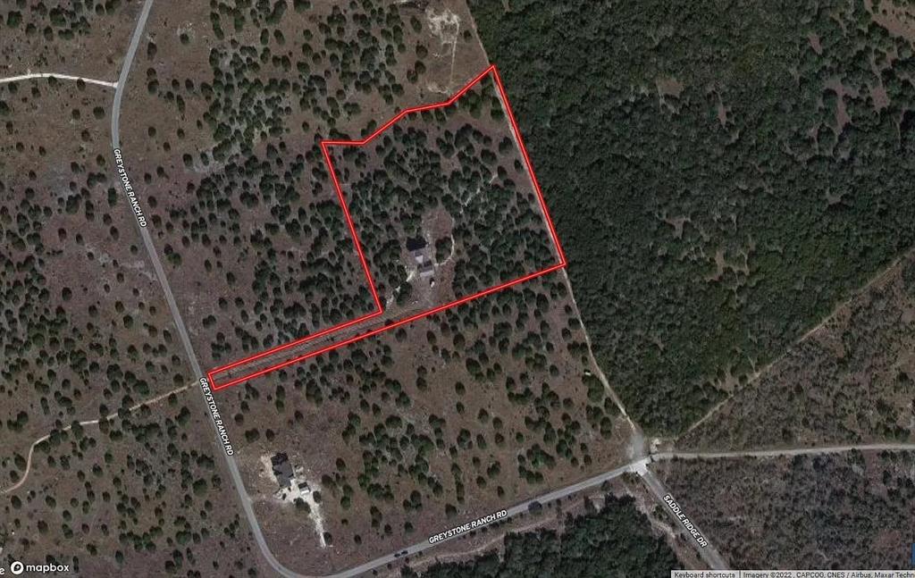 1901 Greystone Ranch Road Bertram, TX 78605 - Photo 17 of 34 a close up of a plant