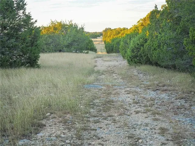 a view of a dry yard with trees