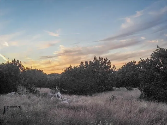 a view of a dry yard with trees