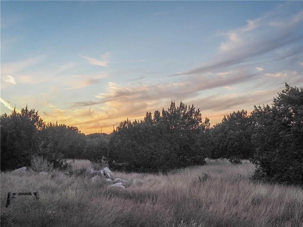 1901 Greystone Ranch Road Bertram, TX 78605 - Photo 33 of 34 a view of a dry yard with trees