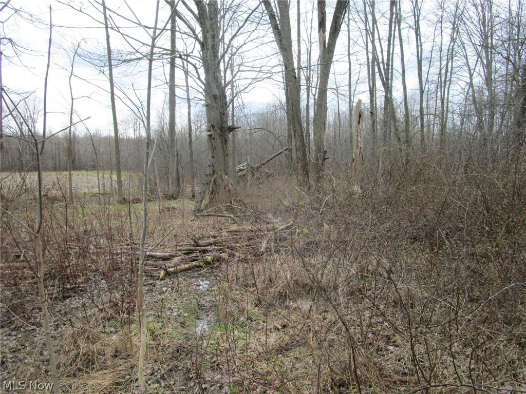 4381 Higley Road Rome, OH 44085 - Photo 27 of 41