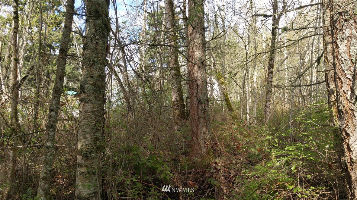 3530 X Toad Lake Road Bellingham, WA 98226 - Photo 1 of 1 Gallery Image 1