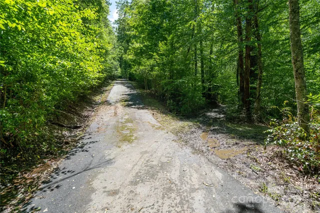a view of a dirt road with trees in the background