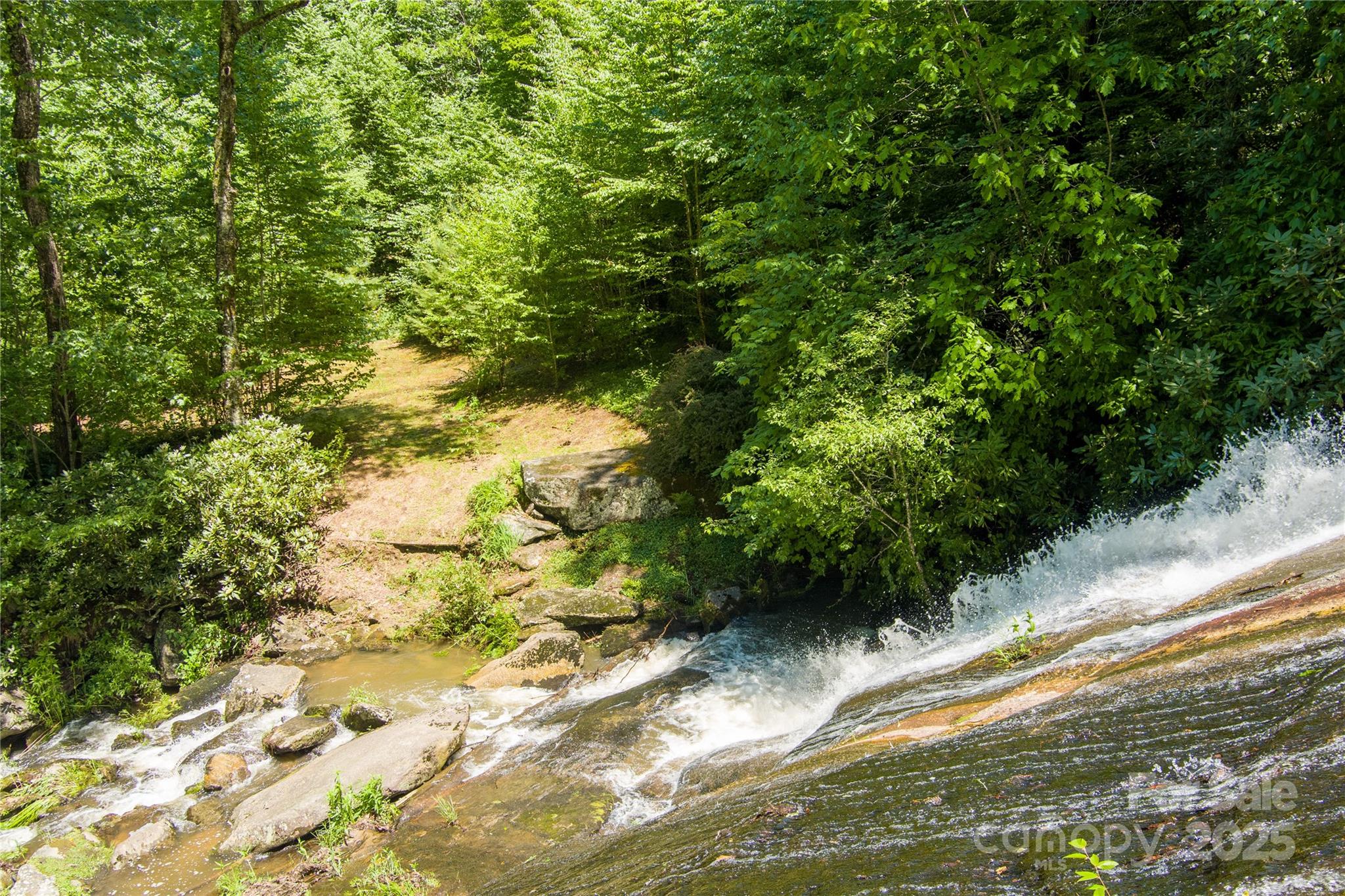 Tbd Memory Lane Cullowhee, NC 28723 - Photo 15 of 41 a view of a yard with plants and large trees