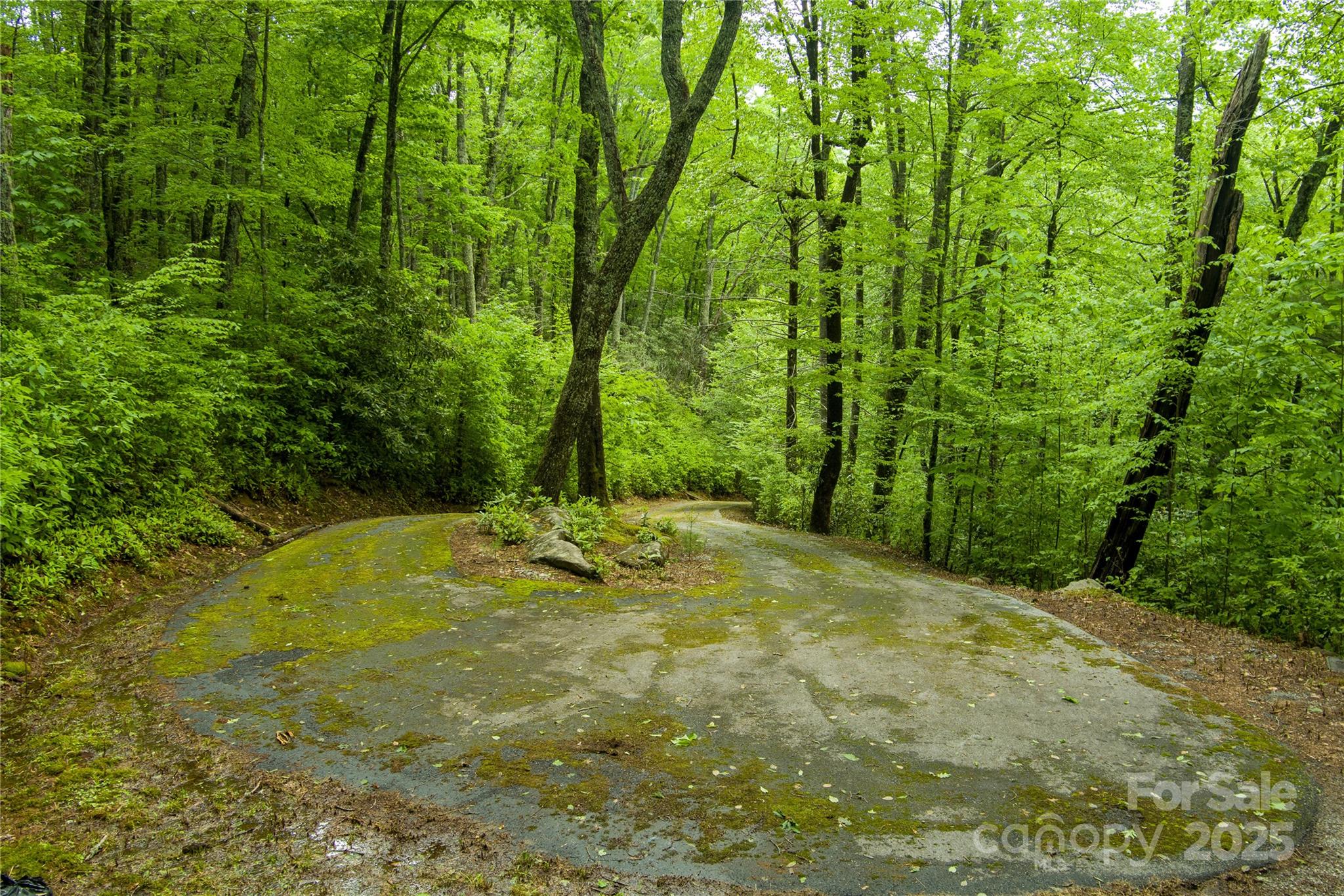 Tbd Memory Lane Cullowhee, NC 28723 - Photo 19 of 41 a view of a yard with trees