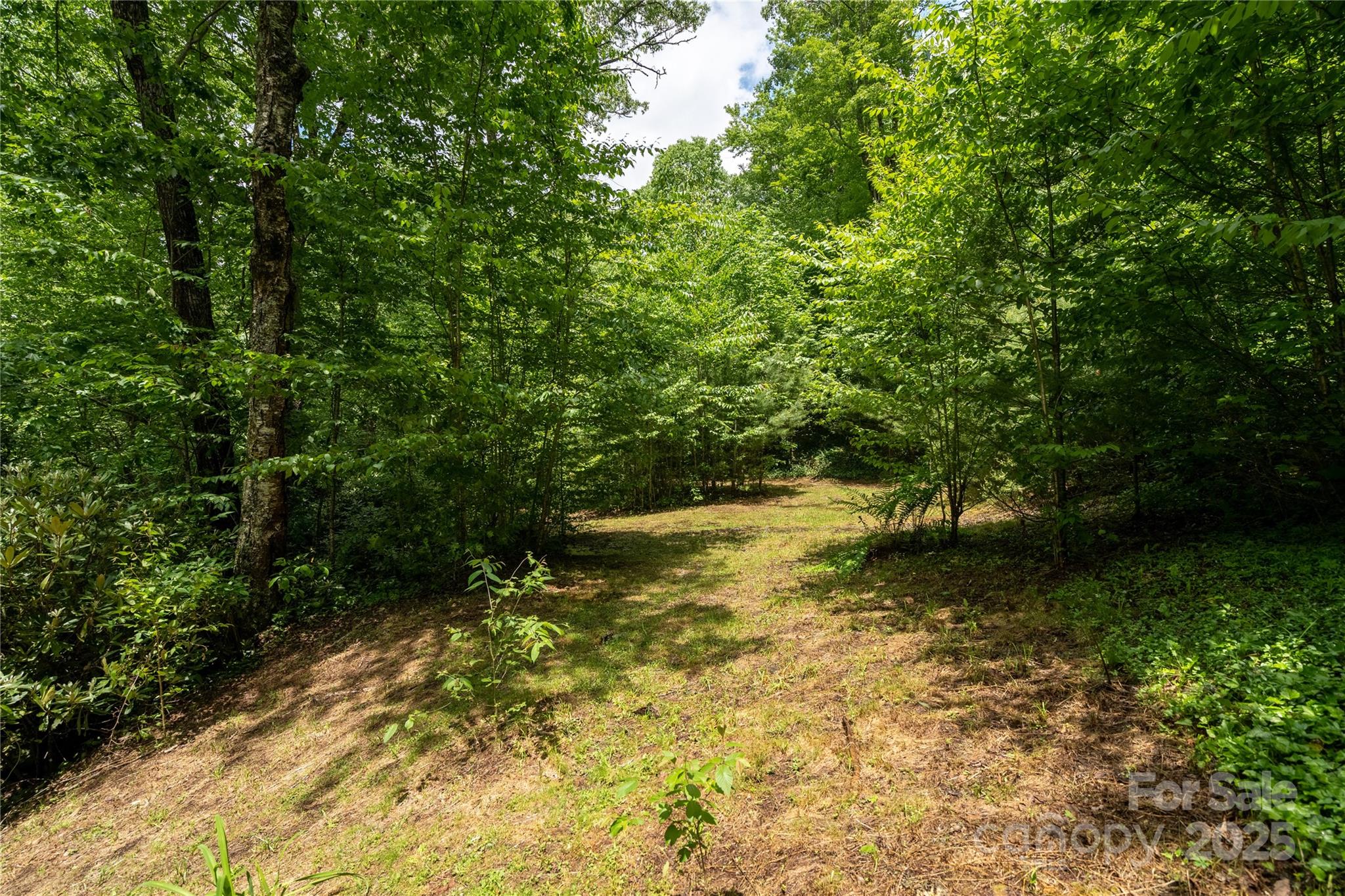 Tbd Memory Lane Cullowhee, NC 28723 - Photo 2 of 41 a view of yard with green space
