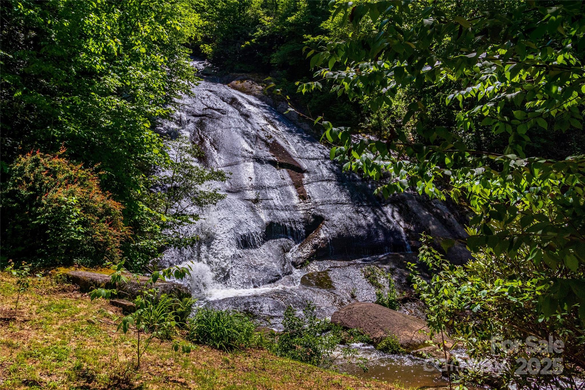 Tbd Memory Lane Cullowhee, NC 28723 - Photo 21 of 41 a view of a tree in a yard
