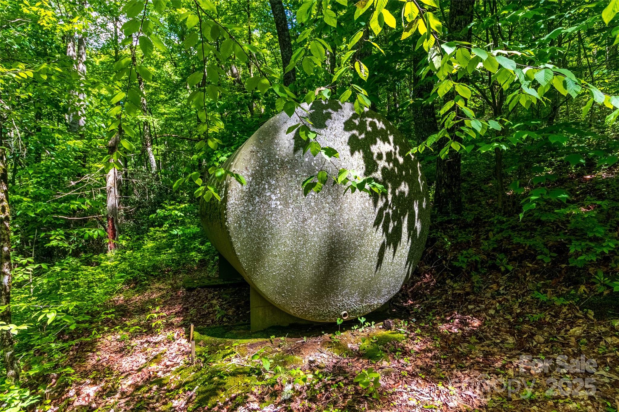 Tbd Memory Lane Cullowhee, NC 28723 - Photo 27 of 41 a view of a plant in a yard