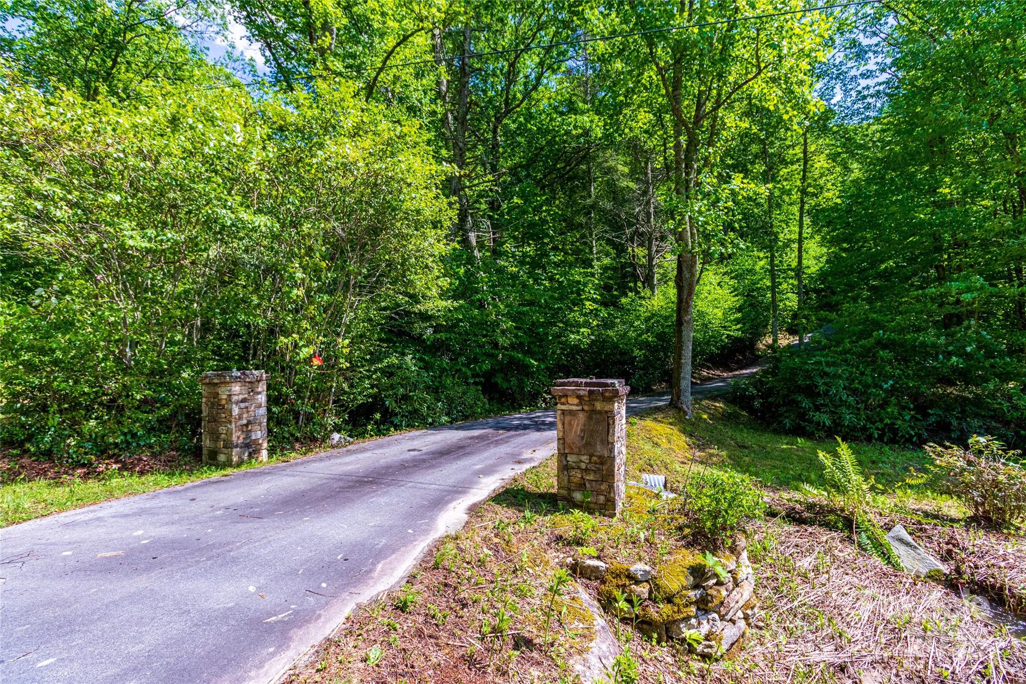 Tbd Memory Lane Cullowhee, NC 28723 - Photo 30 of 41 a view of a forest with large trees