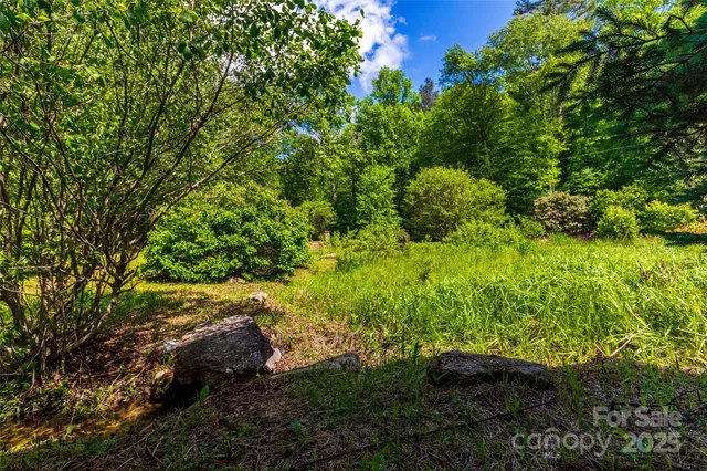 a view of a garden with a fountain