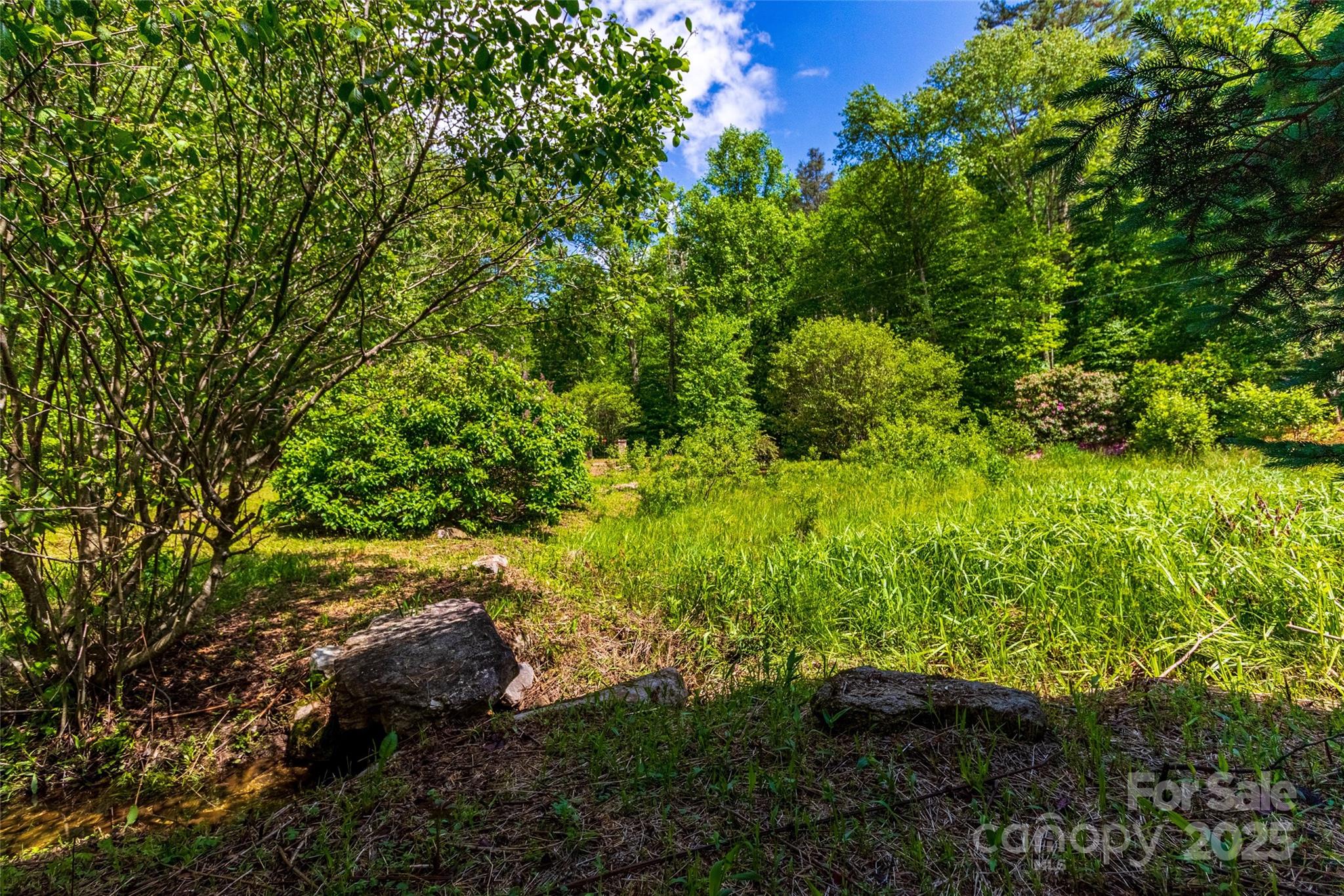 Tbd Memory Lane Cullowhee, NC 28723 - Photo 34 of 41 a view of a garden with plants