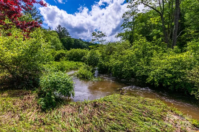 a view of a garden with a tree