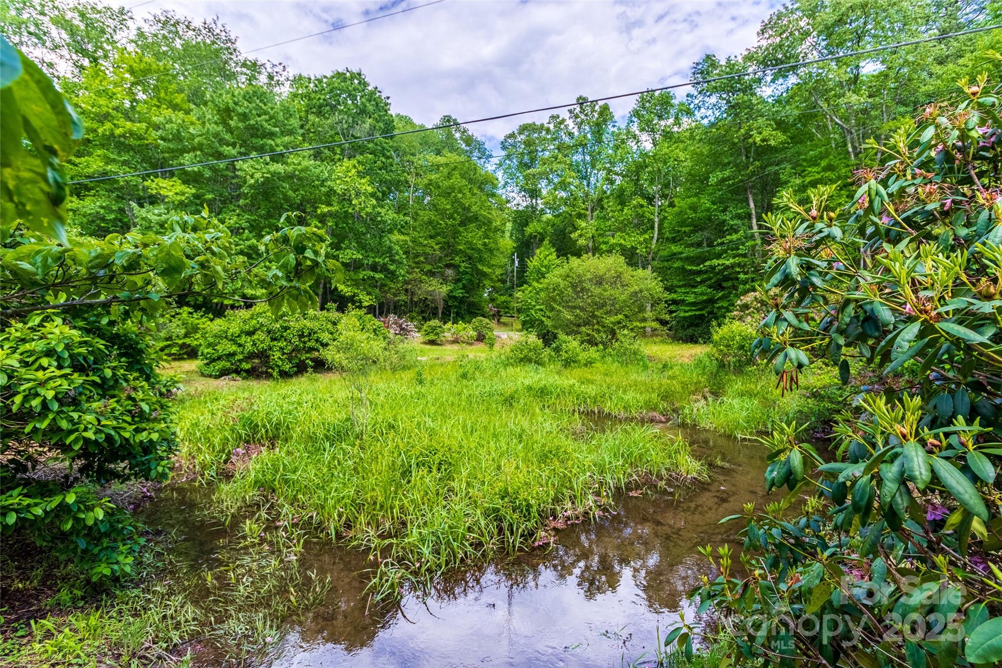 Tbd Memory Lane Cullowhee, NC 28723 - Photo 36 of 41 a view of a garden with a tree