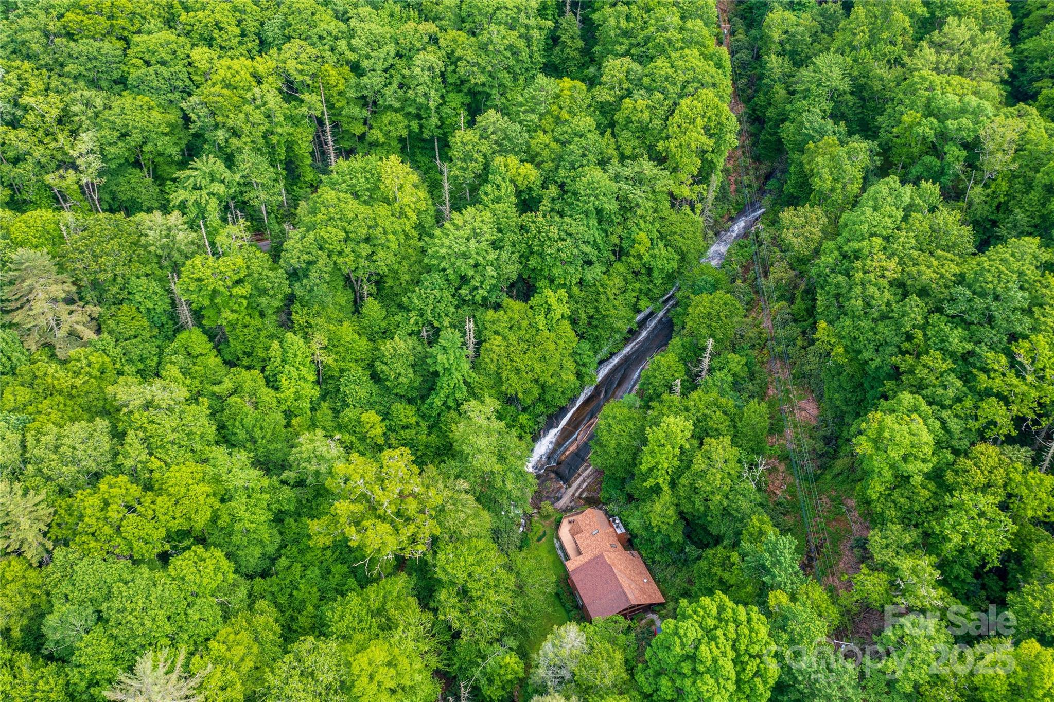 Tbd Memory Lane Cullowhee, NC 28723 - Photo 40 of 41 a view of a lush green forest with lots of trees