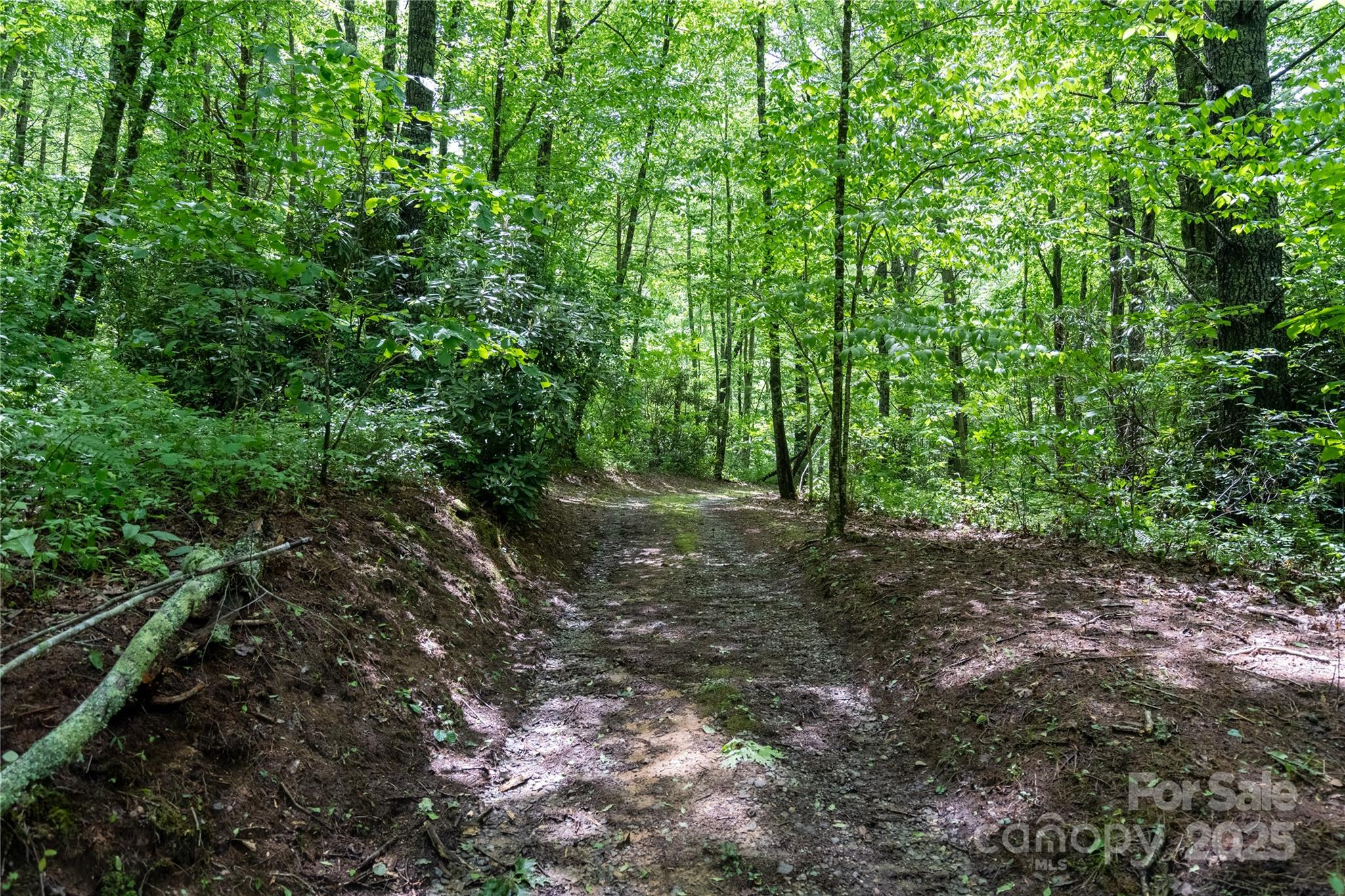 Tbd Memory Lane Cullowhee, NC 28723 - Photo 5 of 41 a view of outdoor space and trees