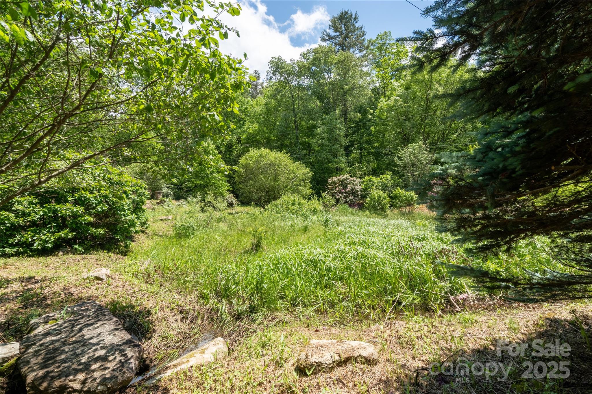 Tbd Memory Lane Cullowhee, NC 28723 - Photo 7 of 41 a view of a lush green forest with large trees