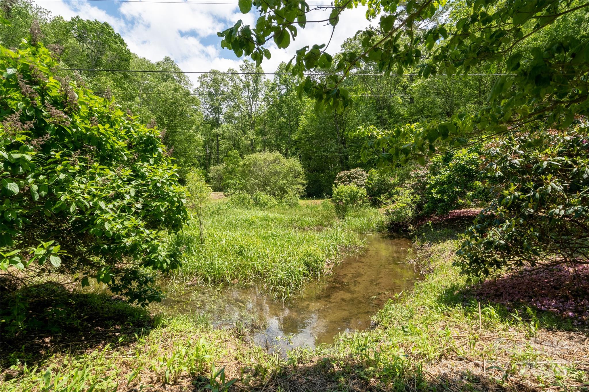 Tbd Memory Lane Cullowhee, NC 28723 - Photo 8 of 41 a view of a garden