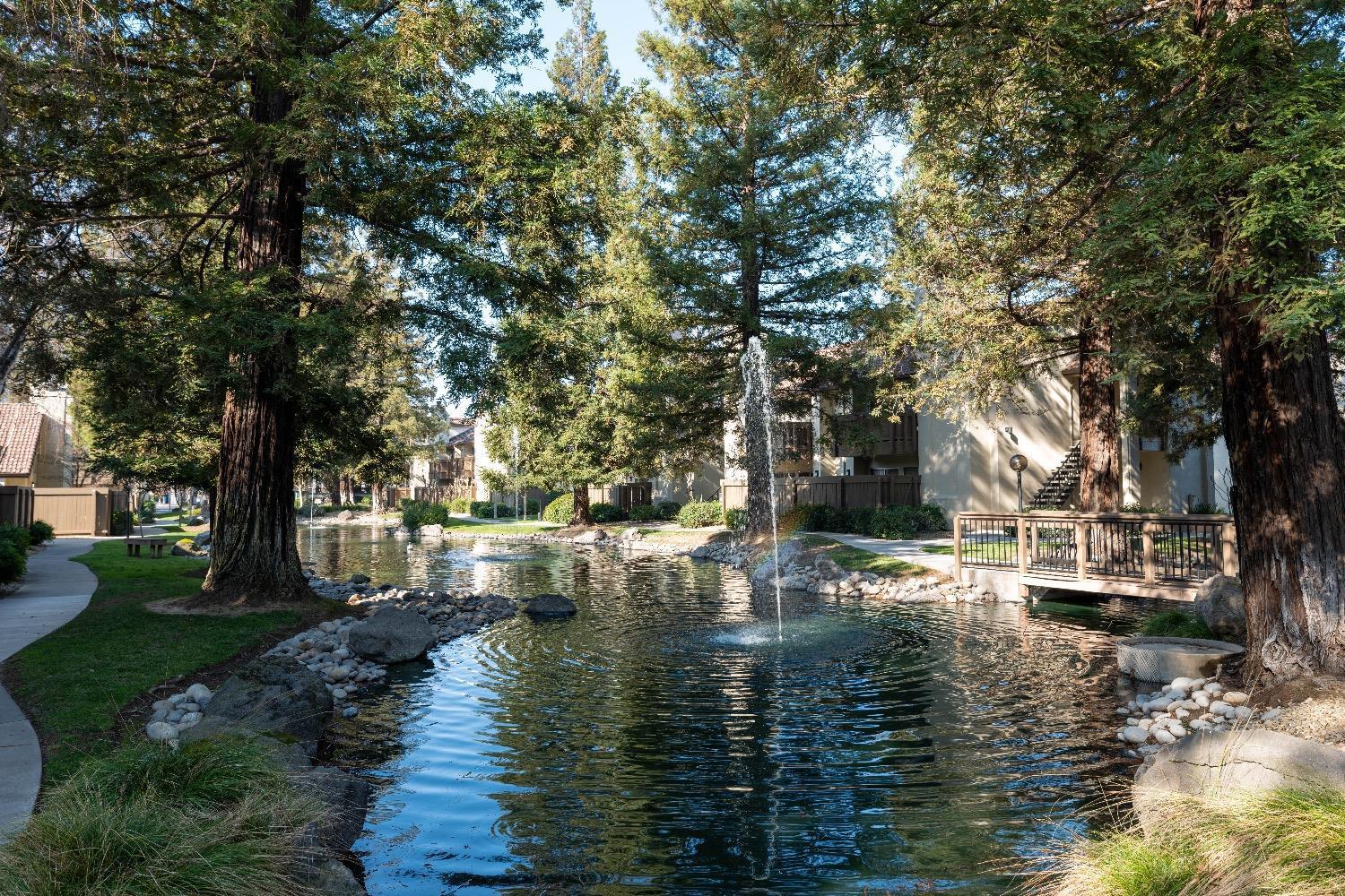 3701 Colonial Drive, Unit 34 Modesto, CA 95356 - Photo 8 of 10 a view of river covered with trees