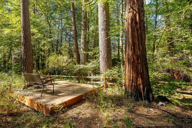 a view of plant from a window