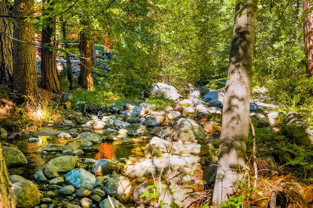 a view of a chairs and table in the patio