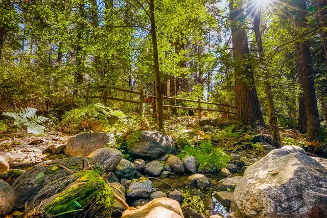 a view of a house with large trees and outdoor space