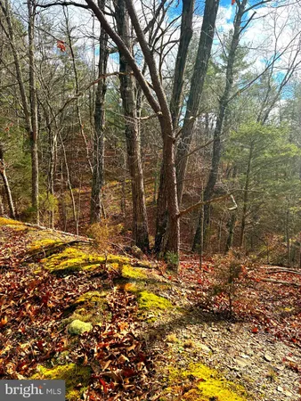 $165,000 | King Street, Basye, VA 22810