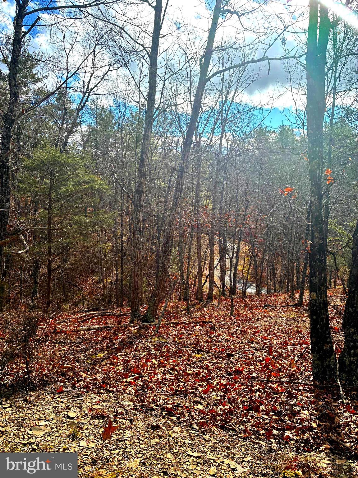 King Street Basye, VA 22810 - Photo 12 of 27 a view of a backyard