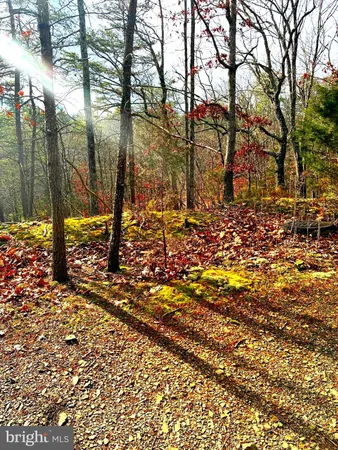 $165,000 | King Street, Basye, VA 22810