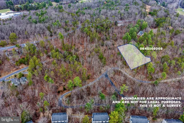 a view of a garden with large tree