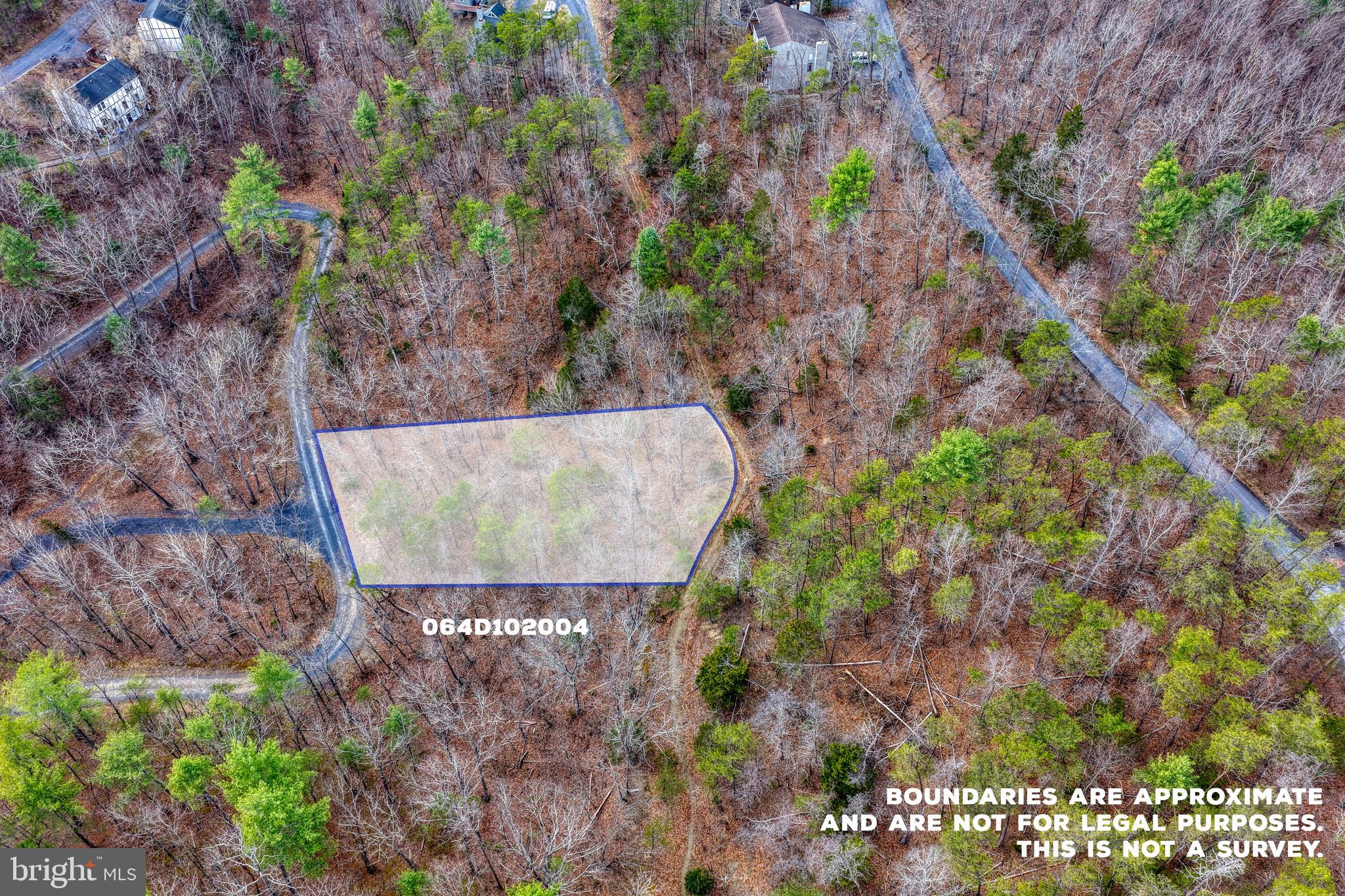 King Street Basye, VA 22810 - Photo 19 of 27 a view of a garden with large tree