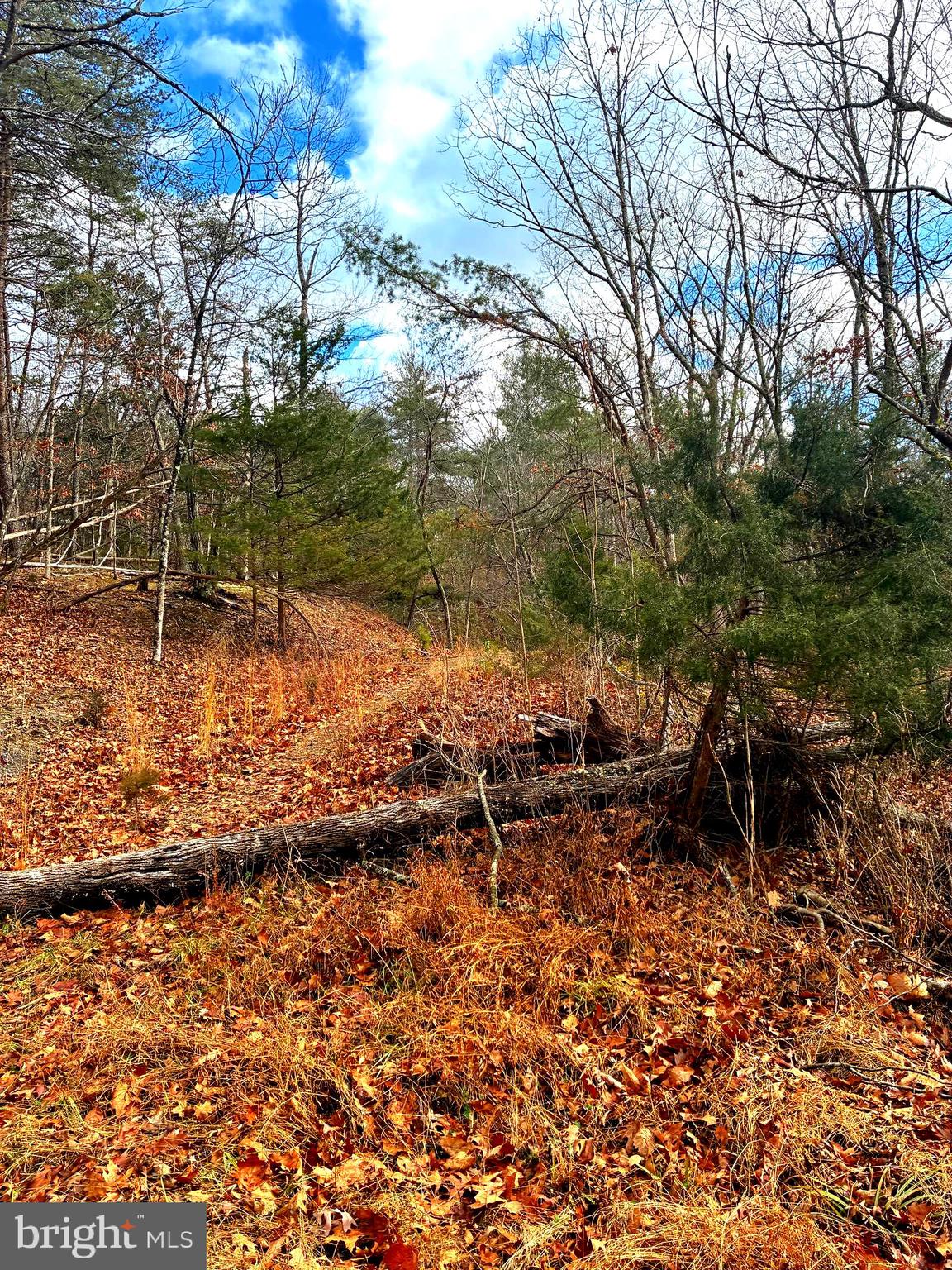 King Street Basye, VA 22810 - Photo 2 of 27 a backyard of a house with table and chairs